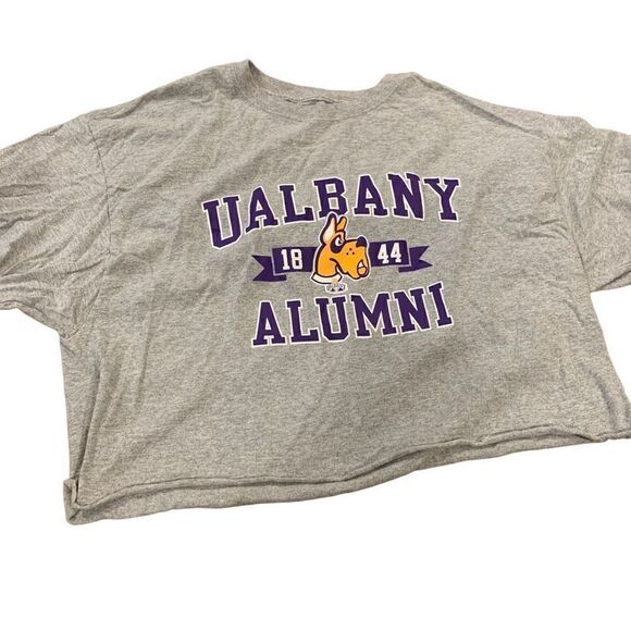 UNIV of ALBANY Alumni 1844 Mascot Cropped Tee-Shirt Grey Purple, XL - Picture 1 of 5